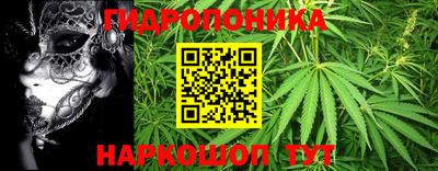 индика Первоуральск