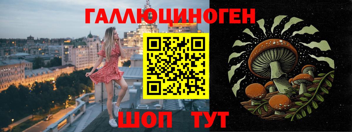 как найти закладки  Галлюциногенные грибы GOLDEN TEACHER  Вход с VPN  Сосновый Бор  Галлюциногенные грибы мицелий 