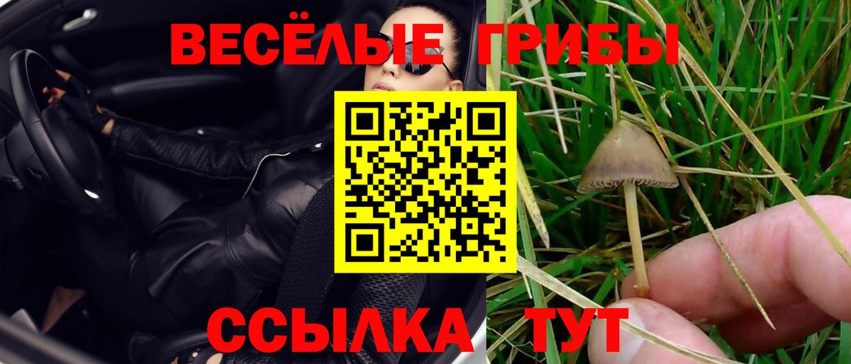 Галлюциногенные грибы мицелий Сосновый Бор